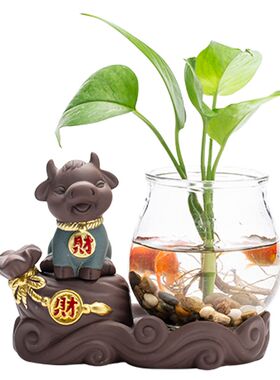 水培绿萝玻璃瓶透明养花花瓶水养鱼桌面陶瓷插花器皿居家装饰摆件