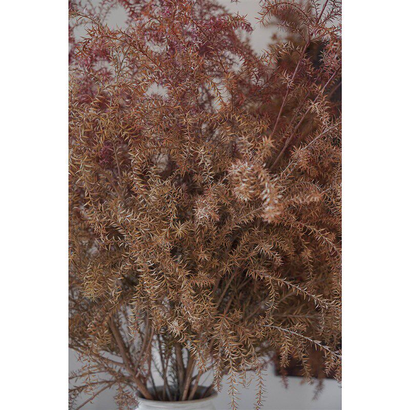 千层金干花花束干花诧寂风干花装饰摆件干花长枝千层金花瓶插花材