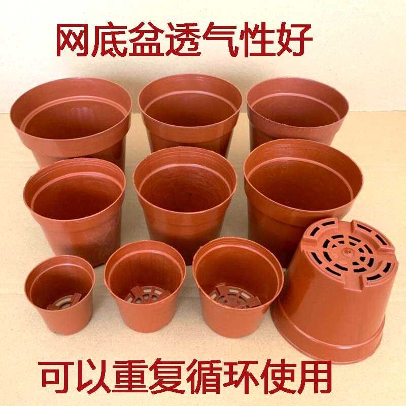 多肉花盆加厚育苗盆育苗杯小花盆花盆