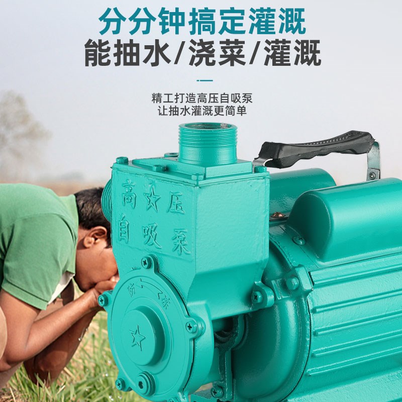 自吸泵家用增压泵抽水泵220V抽水机加压吸水泵铝泵头铁泵头防冻