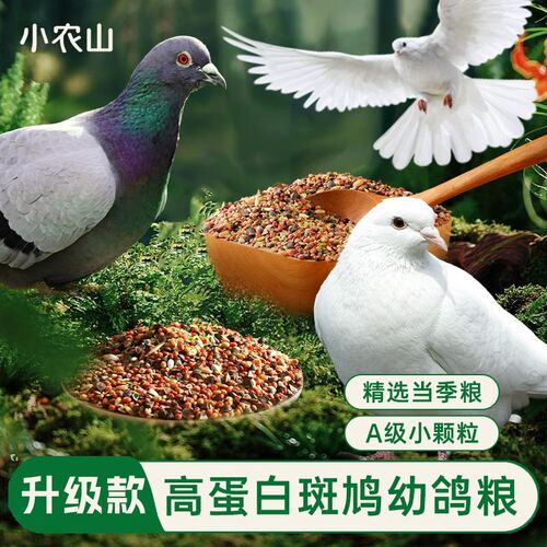 鸽子斑鸠专用食粮鸟粮饲料粮食鸟食小颗粒幼鸽粮高粱小麦营养下蛋