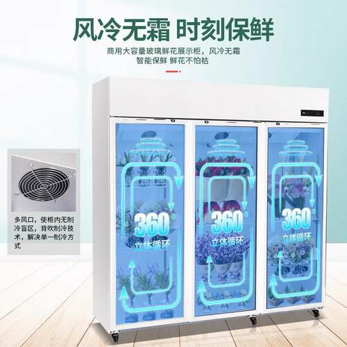 鲜花鲜鸥科柜柜花墙花店专用鲜柜花冷藏柜展示柜冷冰箱风保冷无霜