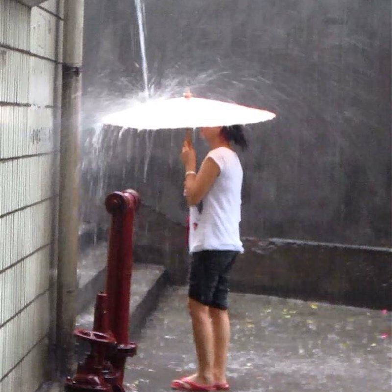 泸州油纸伞男女实用雨伞小清新浪漫翠柳传统工艺道具装饰拍照摄影