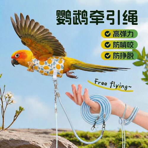 鹦鹉放飞绳超轻抱婴袋遛鸟牵引绳鸟用训练虎皮牡丹玄凤外出飞行绳