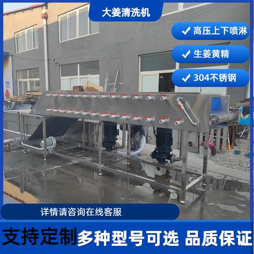气泡清洗机全自动商用洗菜机土豆萝卜清洗机净菜加工流水线