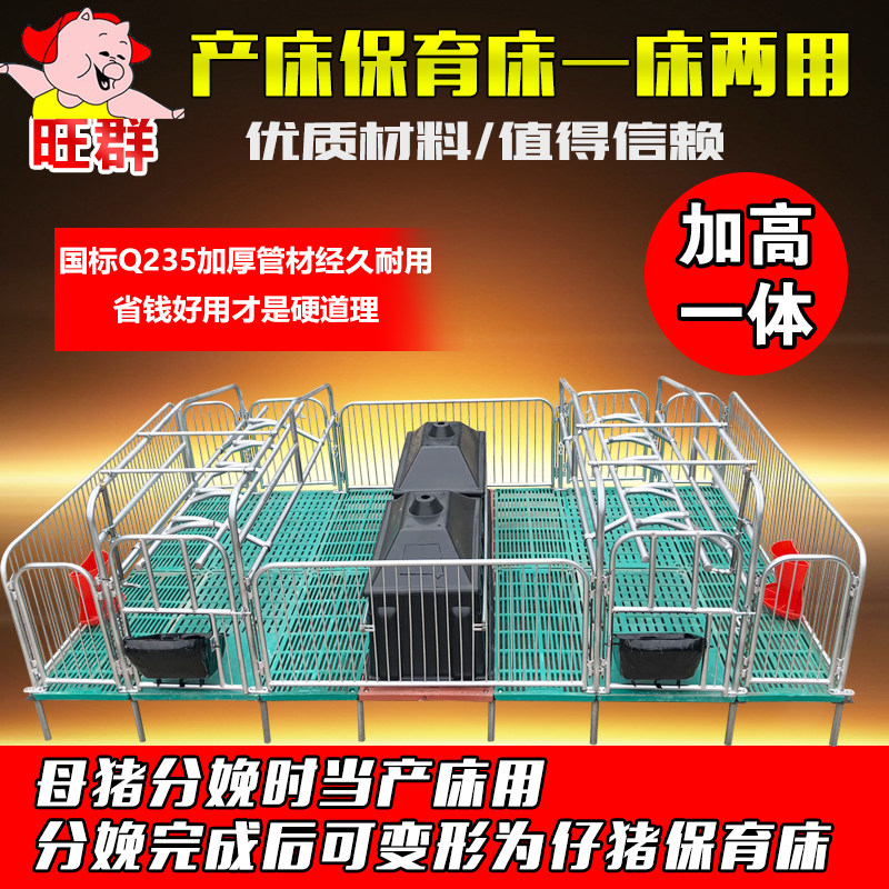 母猪产床复合板猪产床分娩床双体产床上架母猪产床板保育床定位栏