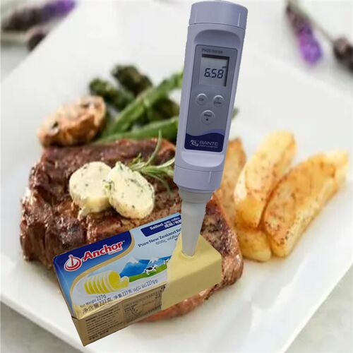 【现货热销 含测肉黄油土壤视频】般特 PH20笔式酸度计/TDS