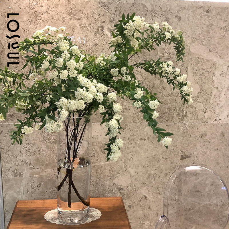 雪柳鲜切花叶片 A级水培室内植物 小手球叶鲜花 喷雪花室内装饰植