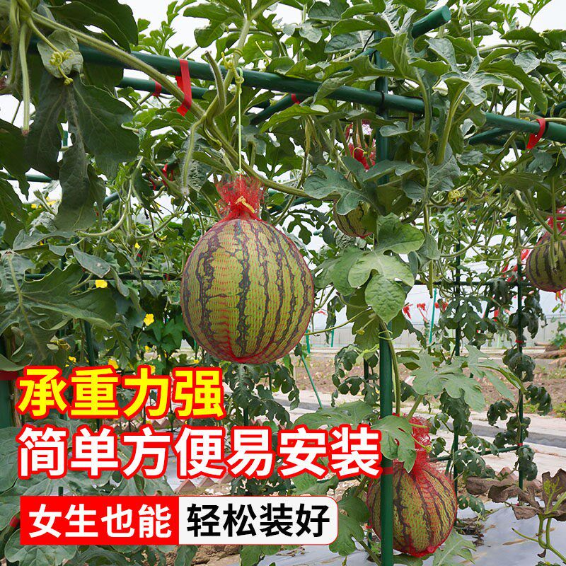 黄瓜爬藤架豆角架杆西红柿支撑杆种菜搭架子庭院葡萄种植箱爬藤架