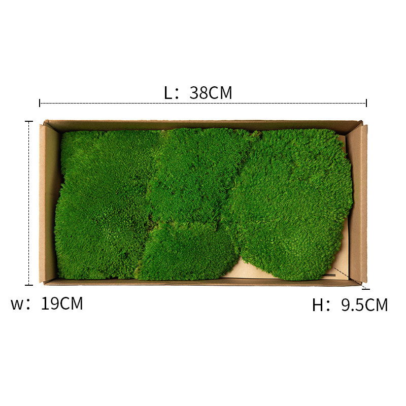 永生苔藓植物墙室内软装墙面新装饰仿真青苔DIY绿植盆景栽白发藓