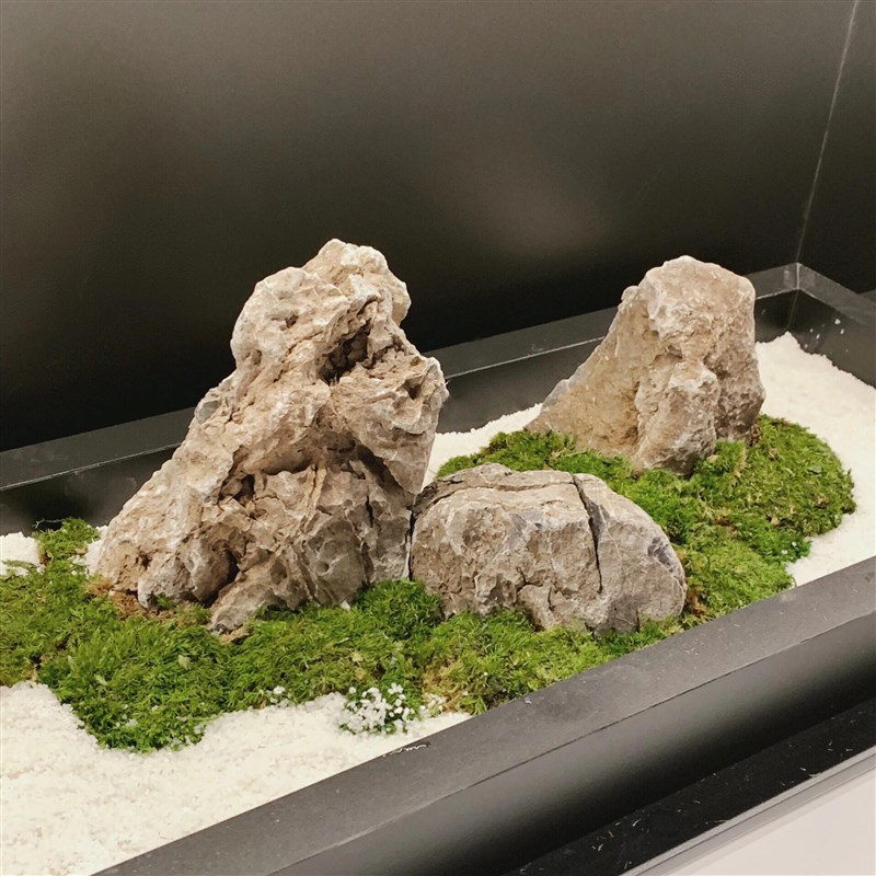 新中式长台桌花造景桌面永生苔藓微景观摆件枯山水长条茶室办公桌