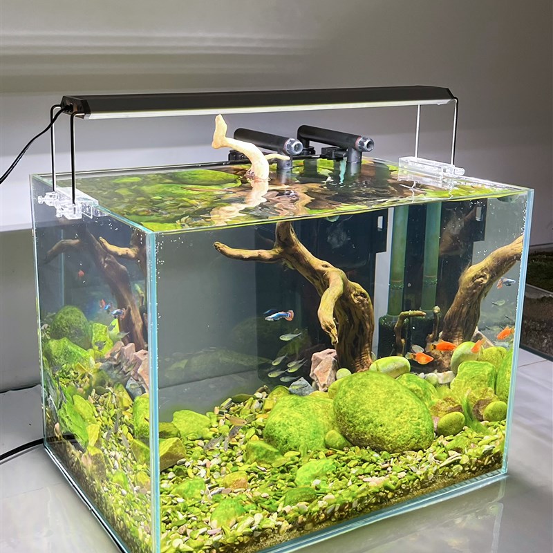 特威浦原生缸态溪流缸led水草植物暴藻鱼虾全光谱高显色高支架灯图片