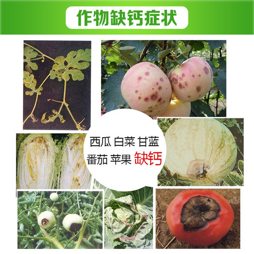 大丰收15%硝酸铵钙肥料蔬菜花果通用水溶叶面肥家用农用
