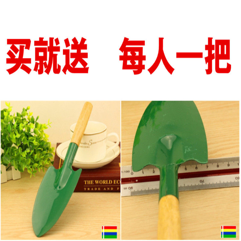 防腐木花盆碳化实木花箱种菜盆果树盆正方形特大花槽花桶坛葡萄盆