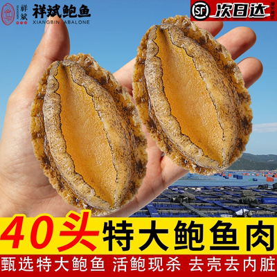 祥斌鲍鱼活鲍液氮急冻福建鲍鱼