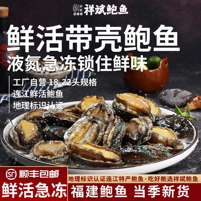 祥斌鲍鱼活鲍液氮急冻福建鲍鱼