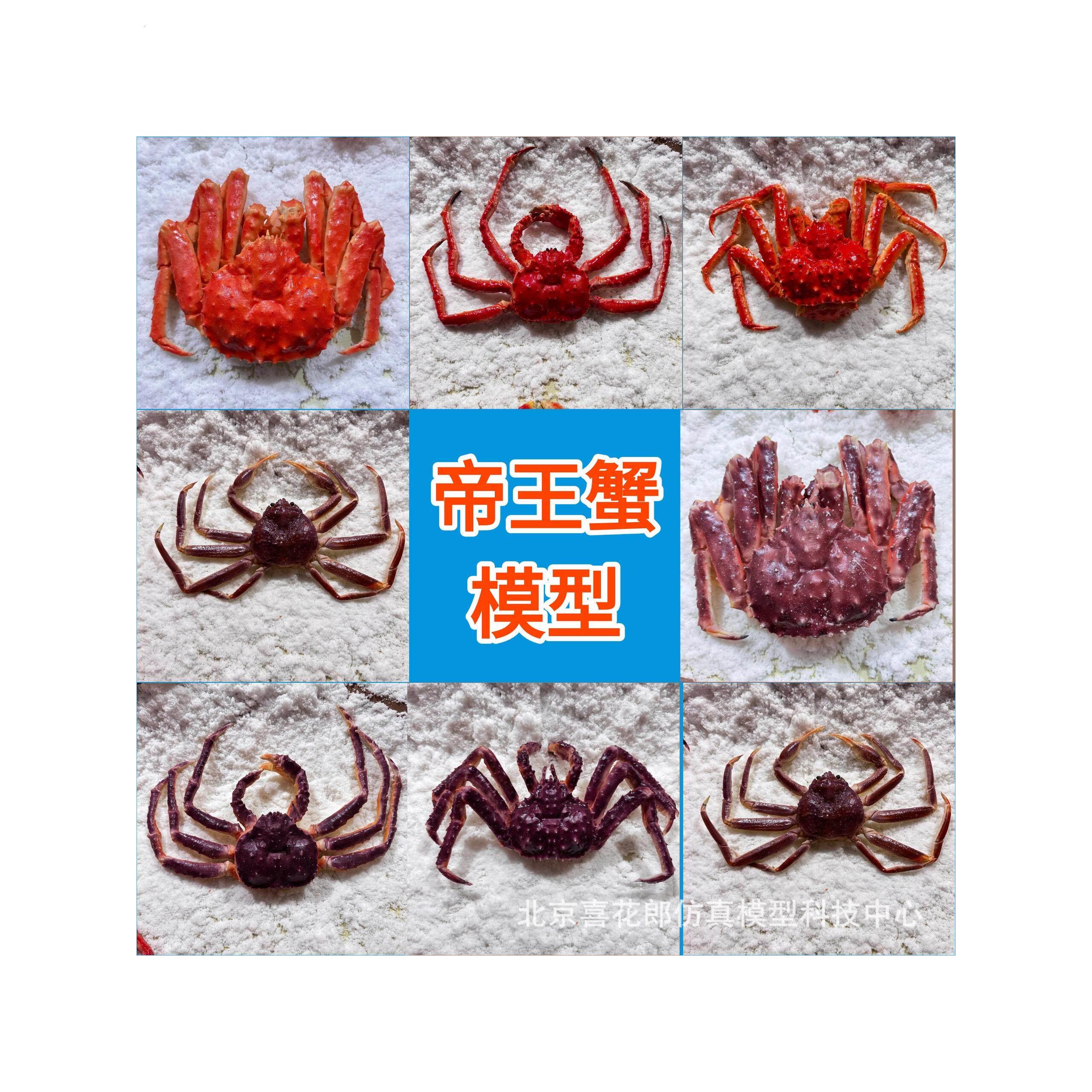 仿真帝王蟹模型海鲜食模冰台明档装饰摆件海产品销售展示支持定制