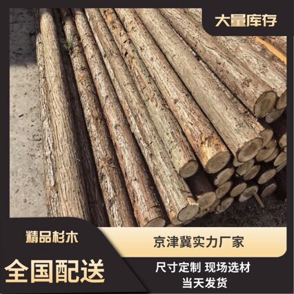 直销杉木杆园林绿化支撑杆绿化杆树木支撑杉木杆打桩木厂家直销