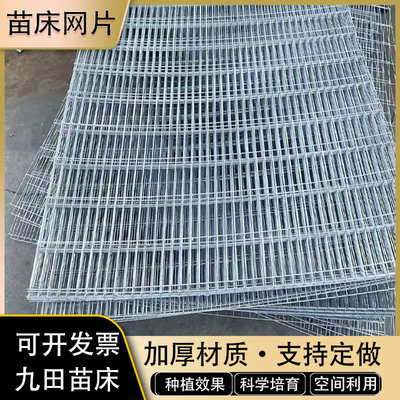 热镀锌育苗床网花架网大棚苗床移动固定网片育苗种植栽培基地