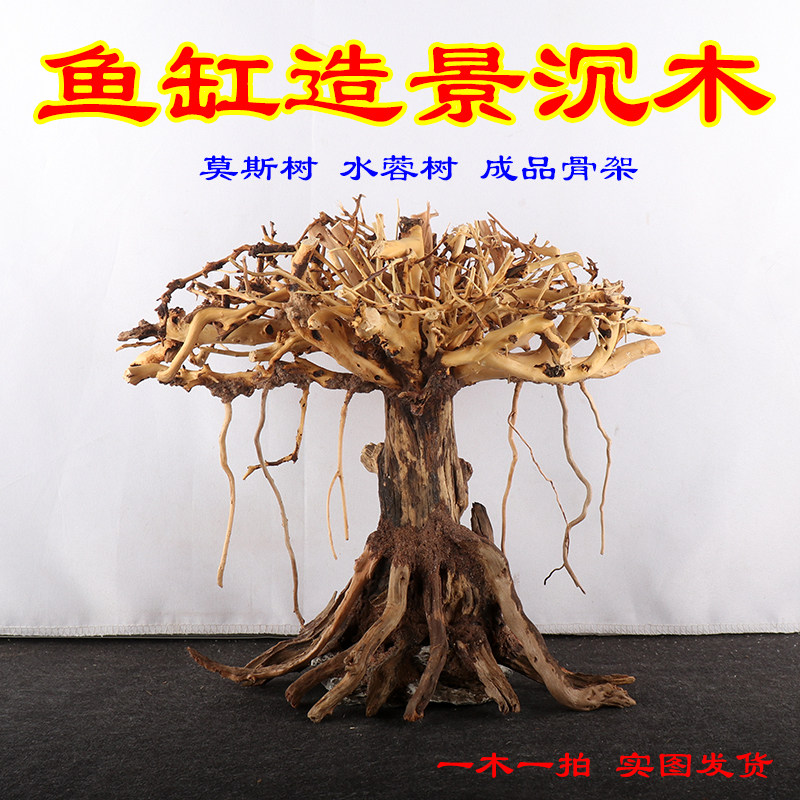 莫斯树成品鱼缸造景沉木迎客松树形骨架草缸水草水榕造景树巴西树