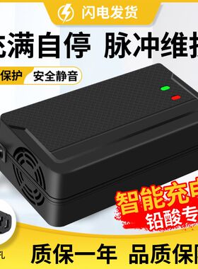 适用于松吉电动车电瓶充电器48V12AH60V20AH72V30A鑫欣隆原装正品