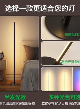 落地灯现代简约北欧客厅卧室立式床头灯墙角边落地台灯氛围灯R002