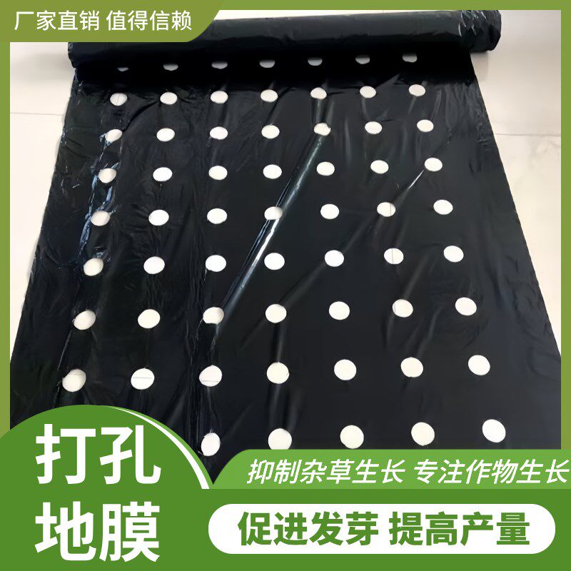 农用带孔打孔地膜黑色银黑地膜防草种菜种植辣椒大蒜玉米专用种蒜