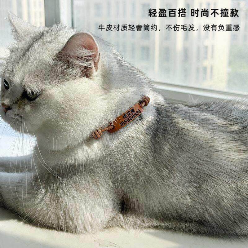绳名字猫咪宠物项圈防丢失轻量名牌狗牌狗狗超轻牛皮刻字猫牌