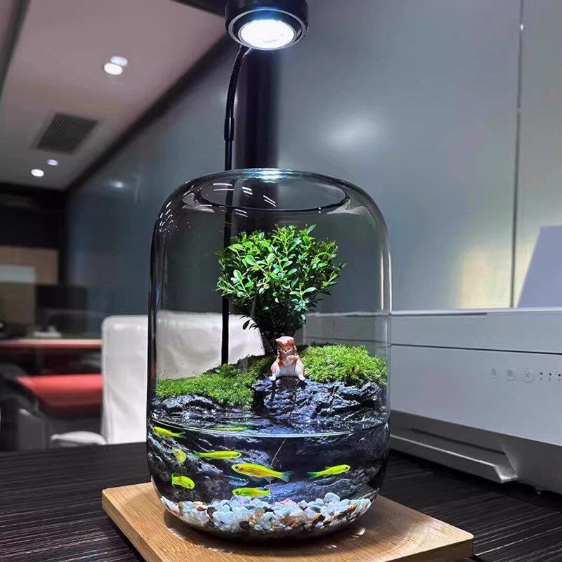 桌面苔藓微景观生态瓶造景植物雨林创意小摆件森林玻璃养鱼生态缸