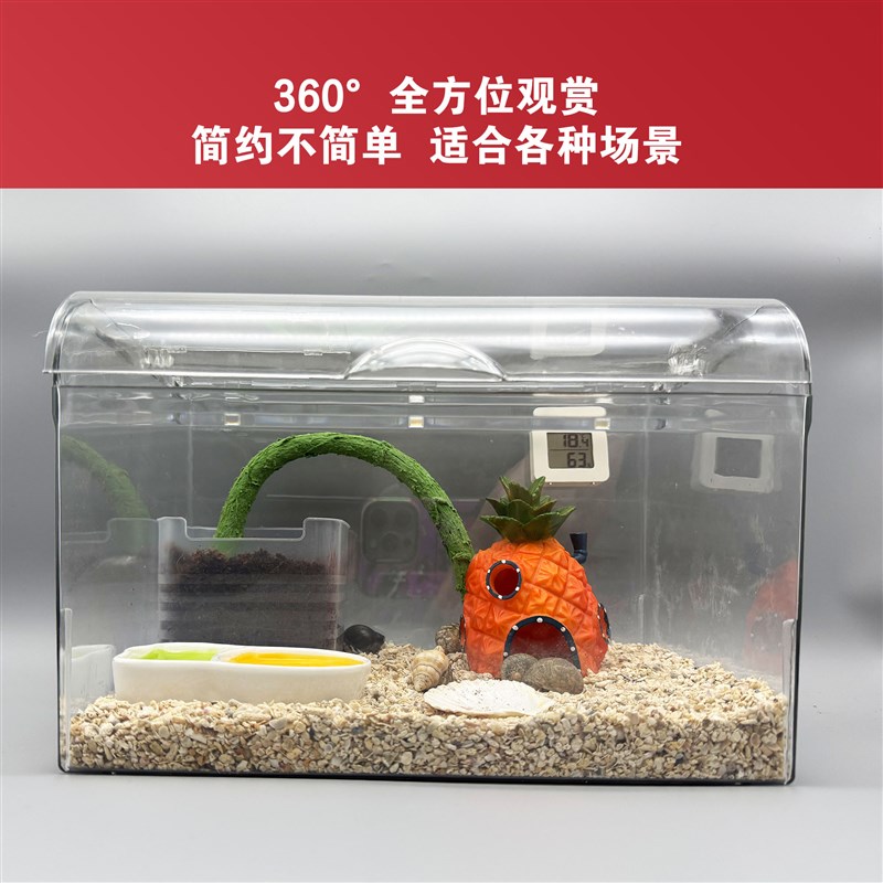 沃富寄居蟹饲养箱亚克力新手宠物蟹全套用品套装盒桌面宠物饲养缸