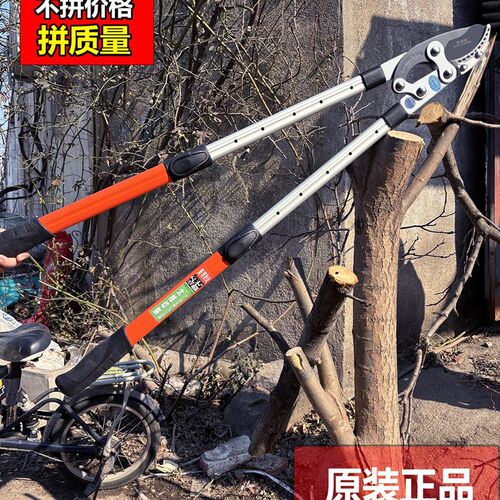 修剪树枝剪园艺粗枝果树园林大力竹子专用电花树枝伸缩动剪刀钳子