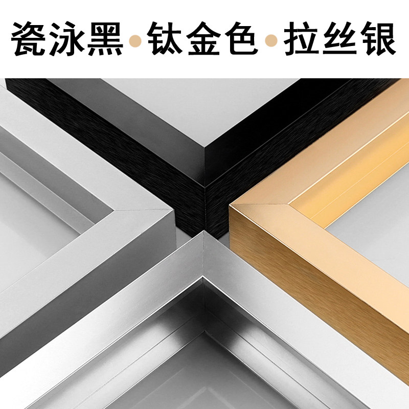 全身镜壁挂舞蹈镜贴墙挂壁练功健身房家用瑜伽穿衣大镜子试衣镜