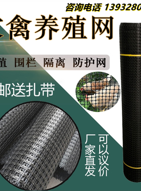 养殖网围栏网塑料网格防护网加厚小孔户外养鸡鸭鹅专用围网漏粪垫