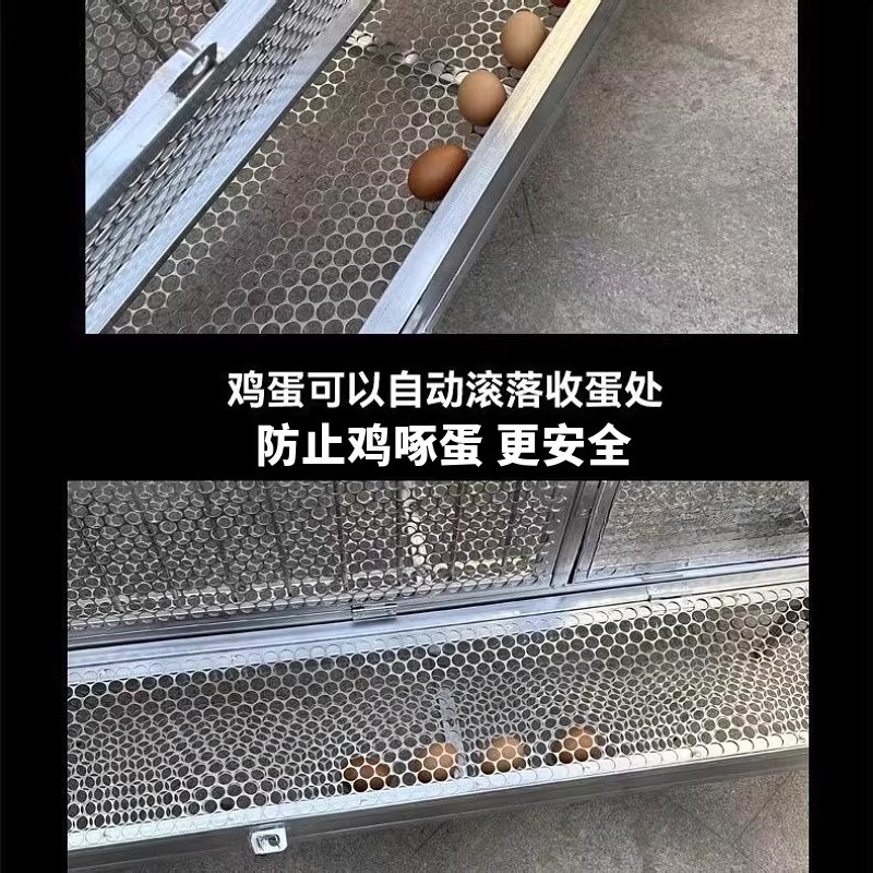 鸡笼子家用室外铁丝网大号防雨防黄鼠狼下蛋鸡笼自动滚蛋笼养殖笼