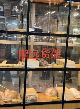 北京猫别墅笼子玻璃猫柜宠物猫屋展示柜繁殖笼寄养笼三层猫窝猫舍