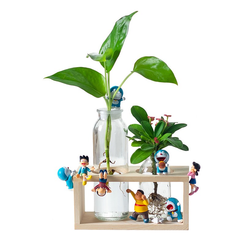水培植物办公室绿植绿萝室内办公桌面好养玻璃瓶小盆栽可水养花卉