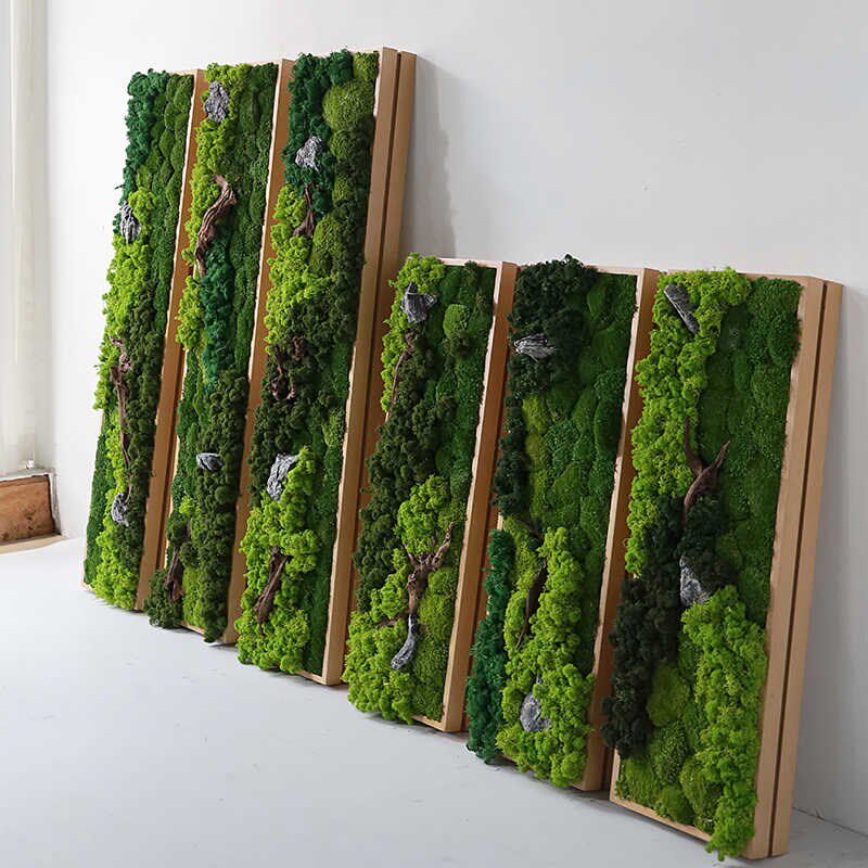 永生苔藓绿植壁挂挂件挂饰壁饰立体植物墙绿植高档墙桌面装饰摆件