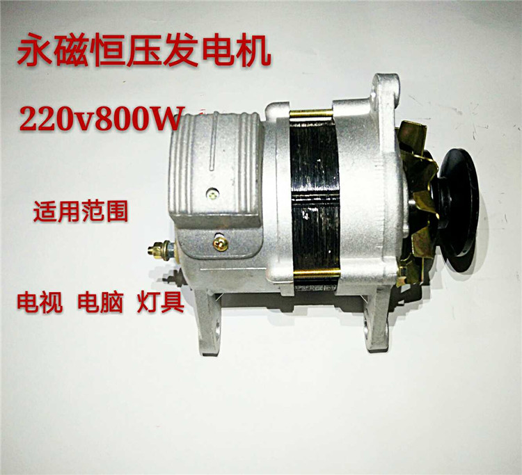 皮带轮式永磁220v800w瓦小型全新纯铜线包大功率家用交流发电机