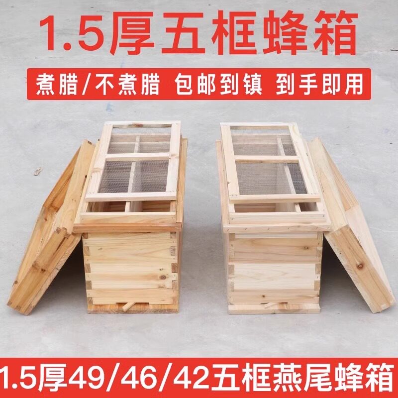1.5厚5框蜂箱49/46/42不煮腊育王箱中蜂箱蜜蜂箱杉木养蜂工具巢