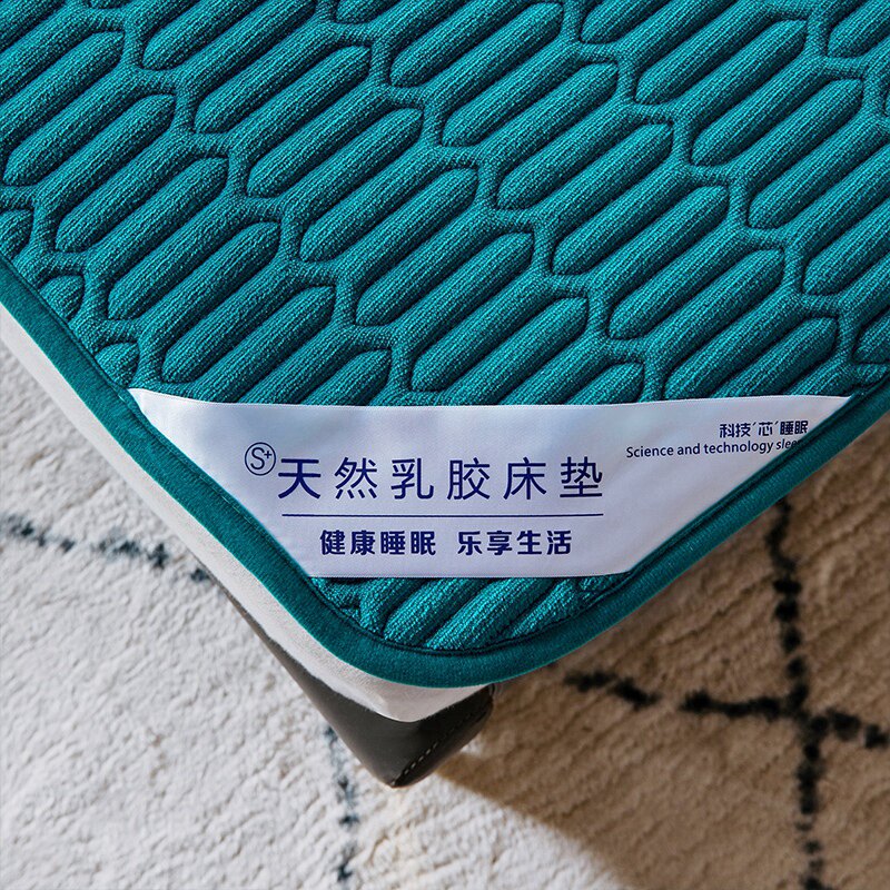 牛奶绒床垫乳胶垫床褥子家用榻榻米炕垫定做珊瑚绒冬季薄款保护垫