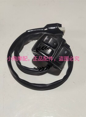 凯威荣光202钱江QJ200-2H/2G左右组合开关左右开关大灯熄火开关