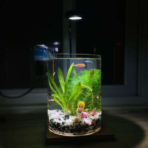 微景观生态瓶免换水自循环小鱼缸小型桌面办公桌水草造景生态缸