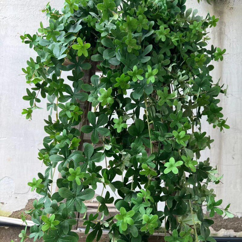 仿真招财叶藤条壁挂垂吊花塑料藤蔓植物绿植吊篮绿叶墙面装饰藤条