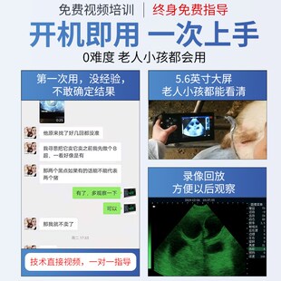 兽用B超猪用b超机探头超声测孕机无线猪牛羊便携式母猪测孕背膘仪