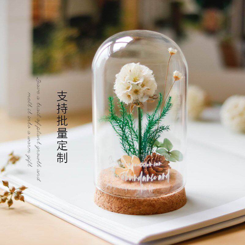 永生花棉花植物干花玻璃罩生日礼物桌面摆件教师节母亲节礼品装饰