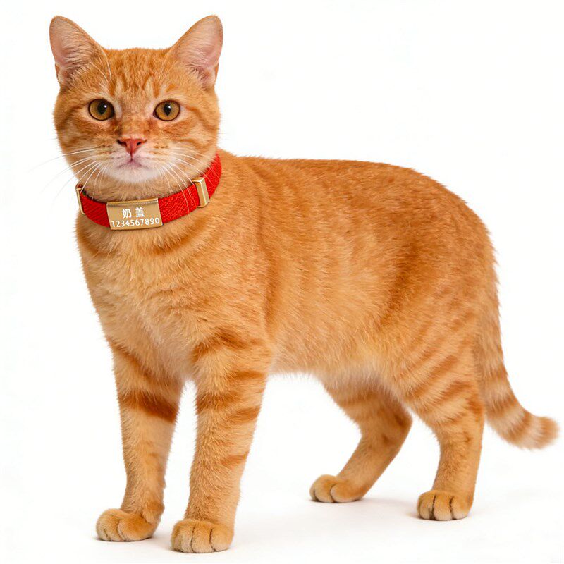 宠物项圈定制防丢名牌猫猫项圈挂饰品宠物身份刻字狗吊牌超轻猫牌