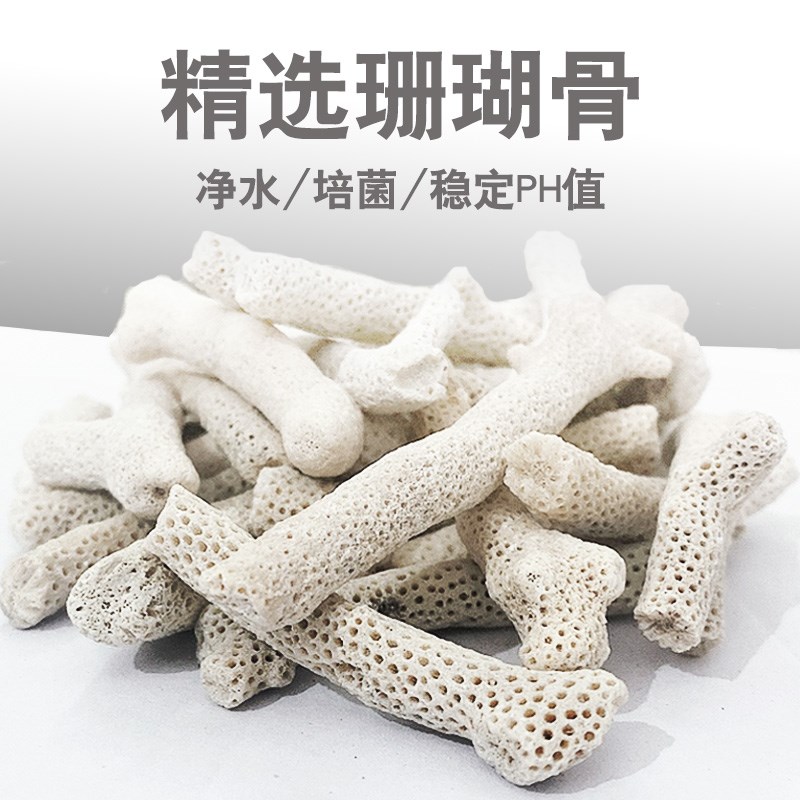 珊瑚骨滤材鱼缸过滤材料鱼池珊瑚石底砂水族箱造景沙稳定净化水质图片