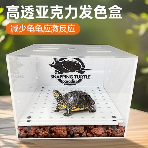 乌龟发色盒新款育龟苗隔离饲养盒底滤沉淀板小型防逃鳄龟专用缸
