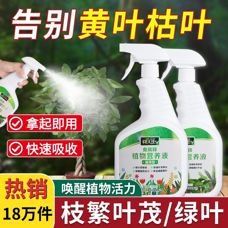 营养液植物通用型养花发财树绿植花卉绿萝肥料室内盆栽叶面肥喷施