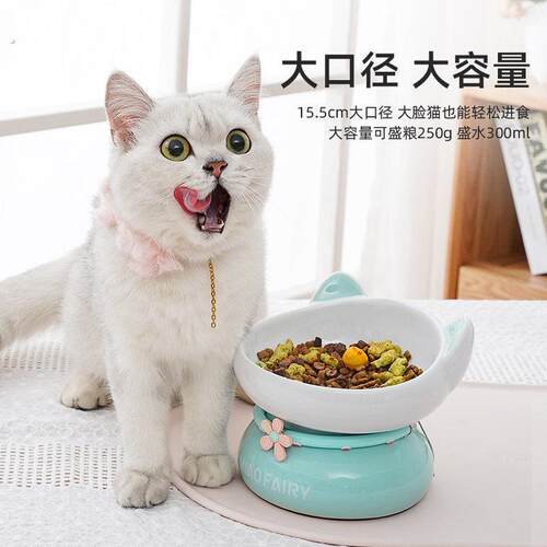 【价保】猫碗陶瓷斜口大口径保护颈椎防打翻猫狗食盆号高脚